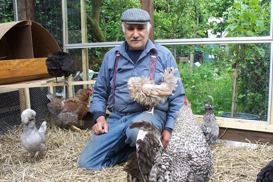 Baba and the chickens 2009