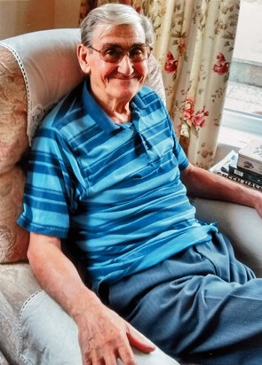 Happy in his chair by the patio doors looking into the garden. 