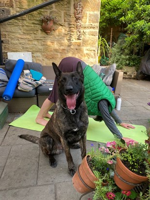 Mum and Thor practicing some yoga