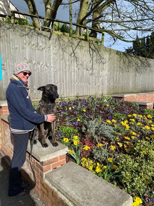 Mum with Thor showing off the Ukrainian Flag she created with her “Green Bunch “ that she started