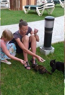 Me And My Mummy Feeding Some Cats