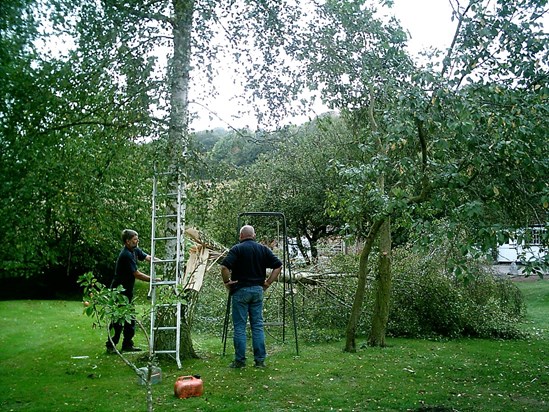 Chopping down trees!