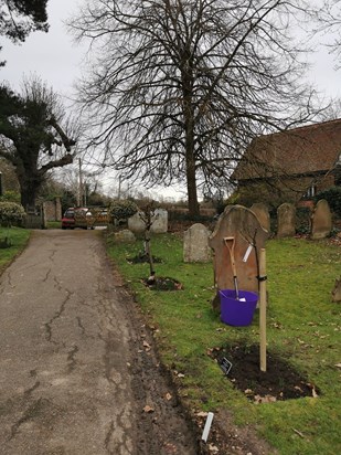 My mother's ashes were placed around the newly planted, yellow rose on 19 February at a short service led by Rev Sally Croft attended by Jan, myself, Janet and Judy. A fitting final farewell.