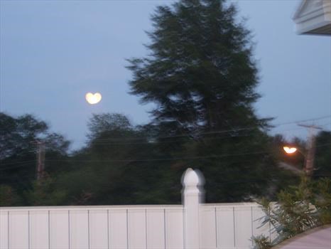  july 9 the moon & street light taken from our backyard