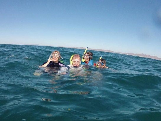 Snorkelling with whale sharks in La Paz, Mexico 2014