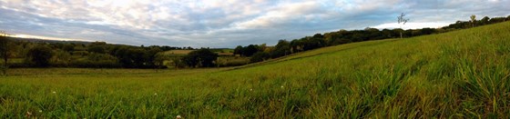 Panoramic View of Alne Wood Park