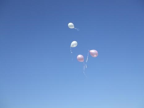 Lucy's Balloons to Heaven x