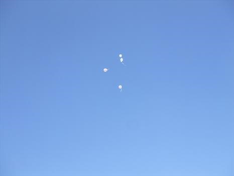 Balloons to Heaven x