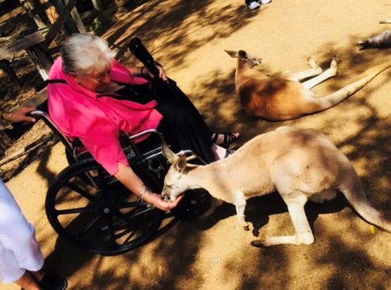 Linda feeding a kangaroo at the Currumbin Sanctuary, Gold Coast