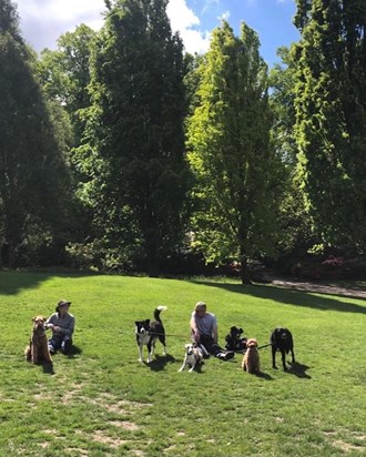 David, Kevin, Kath and I with the dogs. David’s happy place x