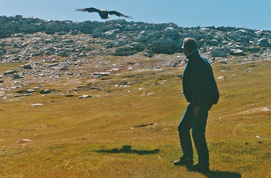 Dave being mobbed by a Striated Caracara on The Falklands