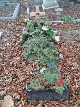 Binas Grave Nov 2015