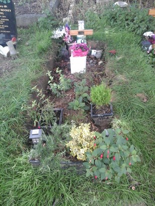 Binas grave 19th June 2016