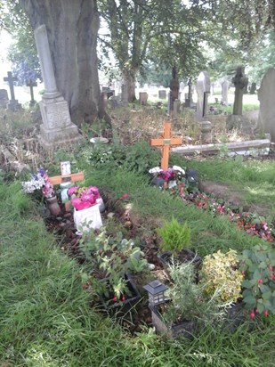 Binas grave in the grave yard under the trees