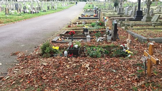 Binas grave in Plumstead cemetary