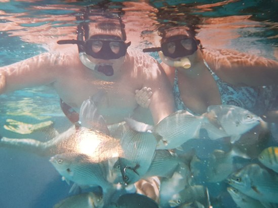 Snorkeling in Dominican then later we swam with sharks 