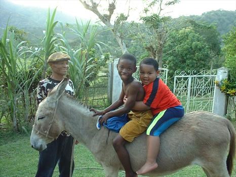 Teaching grandkids to ride the donkey 2003