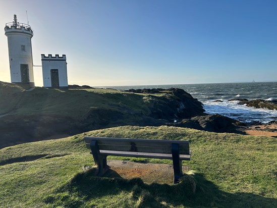 Callum’s bench at Ruby Bay 24th November 2024 (with Mr Grinling’s lighthouse 😂)