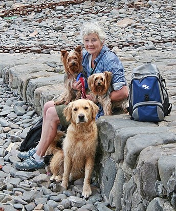 This time with Bonnie, Jake and Sparky at Clovelly.