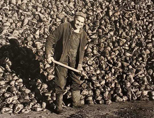 Here’s Father-in-Law just finished shovelling sugar beet, ha ha. He liked a joke. Lots of fond memories Pauline 