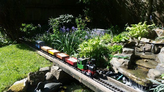 Don carried his passion for trains throughout his life. He built a railway in the garden with a bridge over a pond and a tunnel. With the coming of spring, Don cleaned, vacuumed and polished the rails and started the trains. 