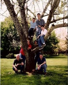 coddington tree pic the boys