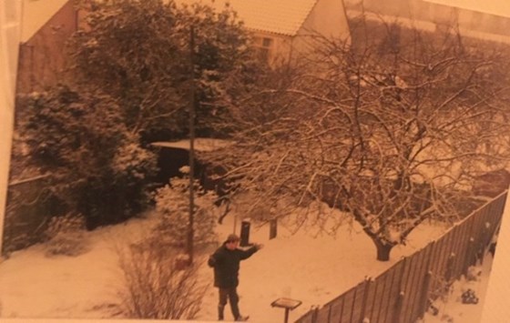 A snowy day in Oulton Broad