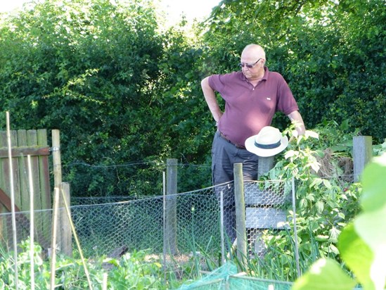 Down at the allotment