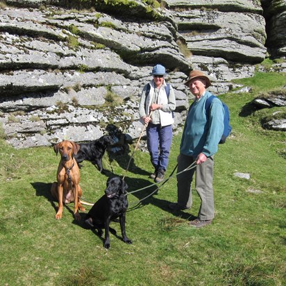 Dartmoor & dogs