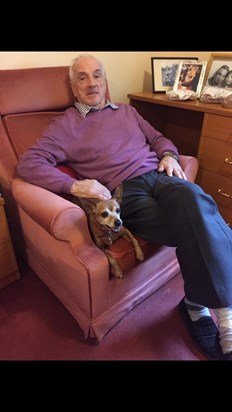 Dad in his care home with a visit from his beloved Dog molly