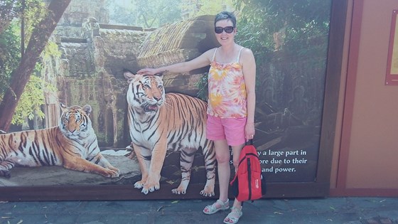 Pet Tiger at Animal Kingdom