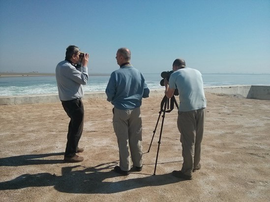 Our first taste of birding in Kuwait. Learned so much from Rich on that trip 😊