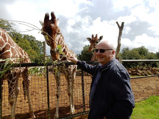 Feeding giraffes at Whipsnade Zoo, a 65th birthday present, September 2015
