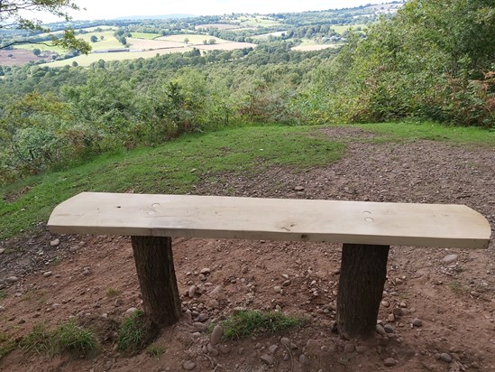 The view from Jan's bench on Kinver Edge 