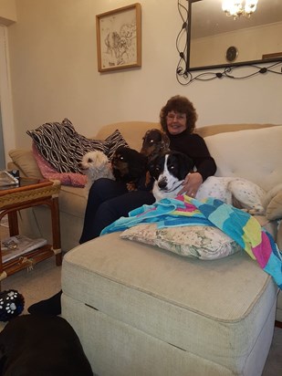 Rosie tolerating having to share her Mum with the regular 'day kids', Herbie, Boots and Coco.