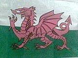 Proud To Be Welsh! x