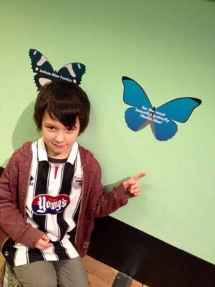 Kai visiting the butterfly that Auntie Lauren put up for Mollie in the Museum opposite the Hospital