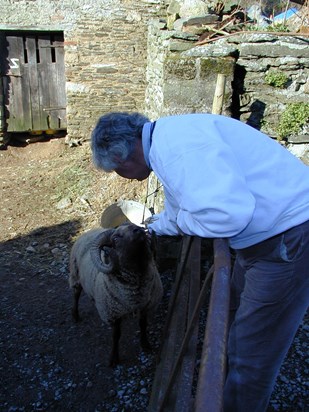 Richard called them 'rare breeds'--I called them the oddest-looking sheep on the planet Feb 2001