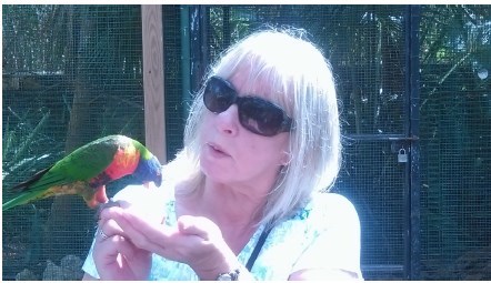 Bird tour in the Bahamas 2016