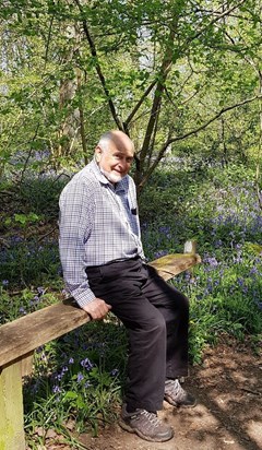 In the bluebells