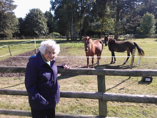 Kathleen and horses at Shedfield Lodge