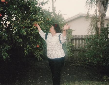 Picking Oranges in Florida