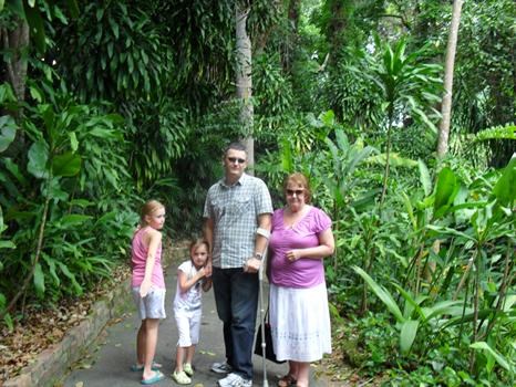 Walking through the Rain Forest in Singapore 2010