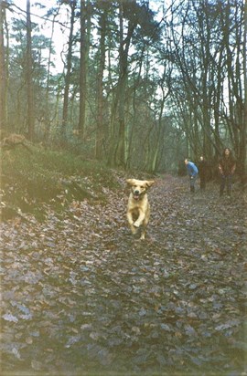 WALK TO FRIDAY STREET Boxing Day 1989 AMBER IN FULL FLIGHT