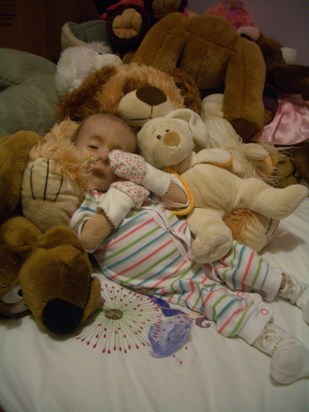 Connie sleeping on Niamh's bed with a few teddies!