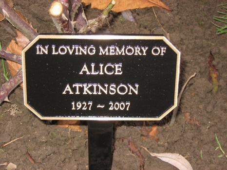 Alice's memorial - June Garden of Rememberance