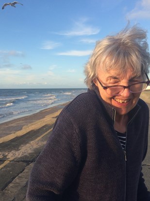 Windswept day at Prestatyn!