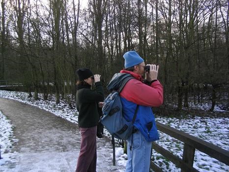 Birding with wendy / Holland 2003