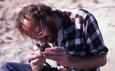 Dick measuring a Sage Sparrow, Deep Canyon Desert Research Ctr., 1987