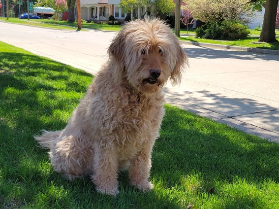 She's enjoying the day.